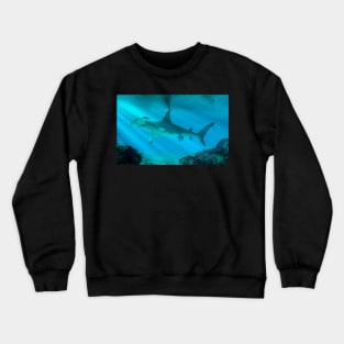 Hammerhead Shark Below the Surface Crewneck Sweatshirt